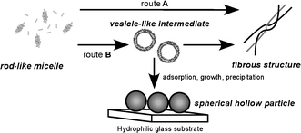Graphical abstract: Stable spherical hollow particles composed of bola-form amides via non-covalent interactions