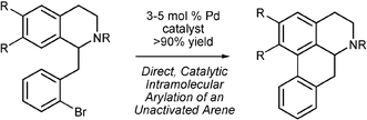 Graphical abstract: Direct intramolecular arylation of unactivated arenes: application to the synthesis of aporphine alkaloids