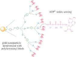 Graphical abstract: Dendrimers and gold nanoparticles as exo-receptors sensing biologically important anions