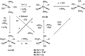 Graphical abstract: A combined parahydrogen and theoretical study of H2 activation by 16-electron d8 ruthenium(0) complexes and their subsequent catalytic behaviour