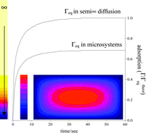 Graphical abstract: Protein adsorption in static microsystems: effect of the surface to volume ratio