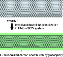 Graphical abstract: Progressive and invasive functionalization of carbon nanotube sidewalls by diluted nitric acid under supercritical conditions