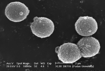 Graphical abstract: Amorphous Ni-B hollow spheres synthesized by controlled organization of Ni-B nanoparticles over PS beads via surface seeding/electroless plating