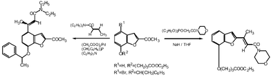 Graphical abstract: Preparation of 2- and 4-(2-alkylcarbamoyl-1-methylvinyl)-7-alkyloxybenzo[b]furans having potent antagonistic activity against human leukotriene B4 BLT1 and/or BLT2 receptors