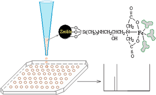 Graphical abstract: Zeolite nanoparticles with immobilized metal ions: isolation and MALDI-TOF-MS/MS identification of phosphopeptides