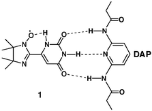 Graphical abstract: Molecular recognition in a uradinyl-functionalized stable radical