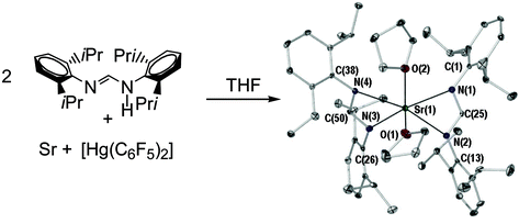 Graphical abstract: N,N′-Bis(2,6-diisopropylphenyl)formamidinate complexes of the heavy alkaline earths