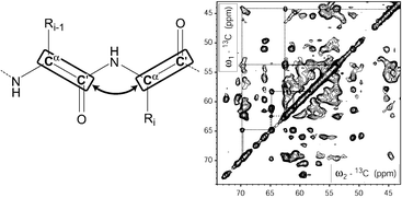 Graphical abstract: Protein solid-state NMR resonance assignments from (13C,13C) correlation spectroscopy