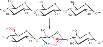 Graphical abstract: A novel clean catalytic method for waste-free modification of polysaccharides by oxidation