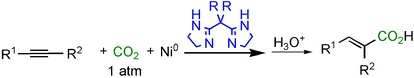 Graphical abstract: Bidentate amidine ligands for nickel(0)-mediated coupling of carbon dioxide with unsaturated hydrocarbons