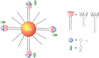 Graphical abstract: Recognition of quaternary ammonium cations by calix[4]arene derivatives supported on gold nanoparticles