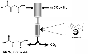 Graphical abstract: Continuous catalytic asymmetric hydrogenation in supercritical CO2