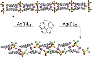 Graphical abstract: Anion mediated structural motifs in silver(i) complexes with corannulene