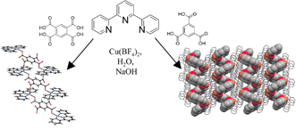 Graphical abstract: Helical and polymeric nanostructures assembled from benzene tri- and tetracarboxylic acids associated with terpyridine copper(ii) complexes