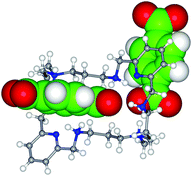 Graphical abstract: Supramolecular aggregates between carboxylate anions and an octaaza macrocyclic receptor