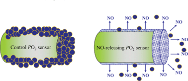 Graphical abstract: Sol–gel derived nitric oxide-releasing oxygen sensors