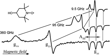 Graphical abstract: High-field EPR spectroscopy applied to biological systems: characterization of molecular switches for electron and ion transfer