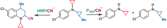 Graphical abstract: Evidence for a hydrogen abstraction mechanism in P450-catalyzed N-dealkylations