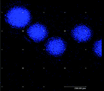 Graphical abstract: Synthesis and characterization of CdS quantum dots in polystyrene microbeads