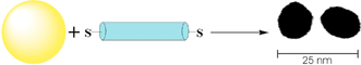 Graphical abstract: Sulfide-capped wire-like metallaynes as connectors for Au nanoparticle assemblies