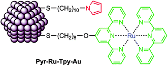 Graphical abstract: Preparation and characterization of gold nanoparticles with a ruthenium-terpyridyl complex, and electropolymerization of their pyrrole-modified metal nanocomposites