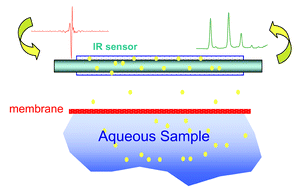 Graphical abstract: Membrane-introduced infrared spectroscopic chemical sensing method for the detection of volatile organic compounds in aqueous solutions