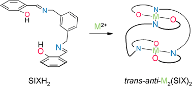 Graphical abstract: Flexible cofacial binuclear metal complexes derived from α,α-bis(salicylimino)-m-xylene