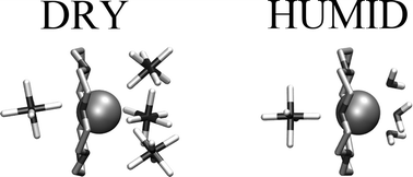 Graphical abstract: Cation extraction by 18-crown-6 to a room-temperature ionic liquid: The effect of solvent humidity investigated by molecular dynamics simulations