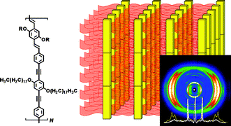 Graphical abstract: Self-organization of comb-like macromolecules comprised of four-fold alkoxy substituted (PPV–PPE) rigid backbone repeat units: role of length variation of side chains attached on phenylene ring surrounded by vinylene moieties