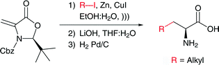 Graphical abstract: Practical and efficient enantioselective synthesis of α-amino acids in aqueous media