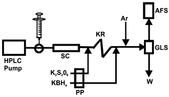 Graphical abstract: Development of an ambient temperature post-column oxidation system for high-performance liquid chromatography on-line coupled with cold vapor atomic fluorescence spectrometry for mercury speciation in seafood