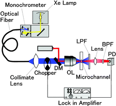 Graphical abstract: Tunable thermal lens spectrometry utilizing microchannel-assisted thermal lens spectrometry