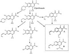 Graphical abstract: Study of the evolution and degradation products of ciprofloxacin and oxolinic acid in river water samples by HPLC-UV/MS/MS-MS