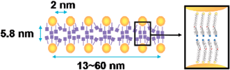 Graphical abstract: Spontaneous one dimensional arrangement of spherical Au nanoparticles with liquid crystal ligands