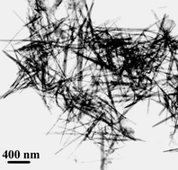 Graphical abstract: Protein-assisted synthesis of single-crystal nanowires of bismuth compounds