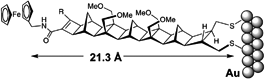 Graphical abstract: Unusually rapid heterogeneous electron transfer through a saturated bridge 18 bonds in length