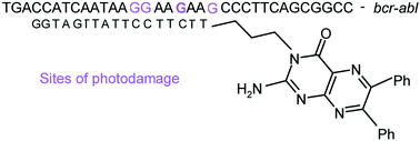 Graphical abstract: Synthesis of N3- and 2-NH2-substituted 6,7-diphenylpterins and their use as intermediates for the preparation of oligonucleotide conjugates designed to target photooxidative damage on single-stranded DNA representing the bcr–abl chimeric gene