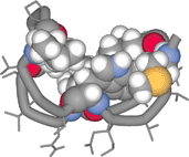 Graphical abstract: A small peptide stereochemically customized as a globular fold with a molecular cleft