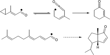 Graphical abstract: Vinylcyclopropylacyl and polyeneacyl radicals. Intramolecular ketene alkyl radical additions in ring synthesis