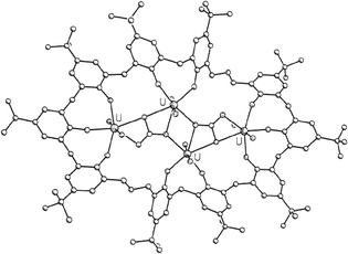 Graphical abstract: Synthesis of homooxacalixarenes with 5 and 10 phenol units and crystal structure of their complexes with uranyl ions