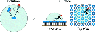 Graphical abstract: Multivalency in supramolecular chemistry and nanofabrication