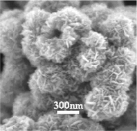 Graphical abstract: Hollow porous carbon nanospheres with large surface area and stability, assembled from oxidized fullerenes