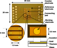 Graphical abstract: Construction of an electrochemical DNA chip for simultaneous genotyping of single nucleotide polymorphisms