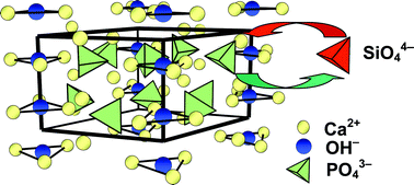 Graphical abstract: Silicon substituted hydroxyapatites. A method to upgrade calcium phosphate based implants