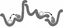 Graphical abstract: Correlated ionic hopping processes in crystalline and glassy electrolytes resulting in MIGRATION-type and nearly-constant-loss-type conductivities