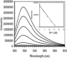 Graphical abstract: Alexa Fluor 488 as an iron sensing molecule and its application in PEBBLE nanosensors