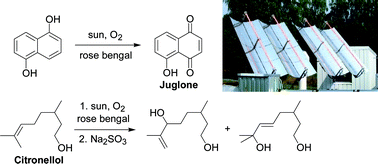 Graphical abstract: Green photochemistry: solar photooxygenations with medium concentrated sunlight