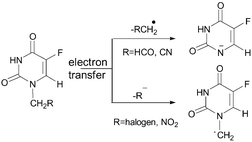 Graphical abstract: Density functional calculations on dissociation reactions of radical anions of 5-fluorouracil derivatives