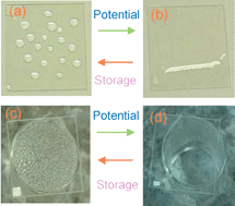 Graphical abstract: Electrochemically generated super-hydrophilic surfaces