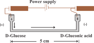 Graphical abstract: Development and application of a simple capillary-microreactor for oxidation of glucose with a porous gold catalyst